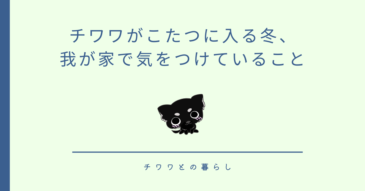 チワワがこたつに入る冬、我が家で気をつけていること