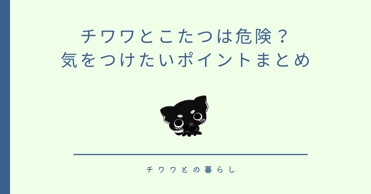 チワワとこたつは危険?気をつけたいポイントまとめ