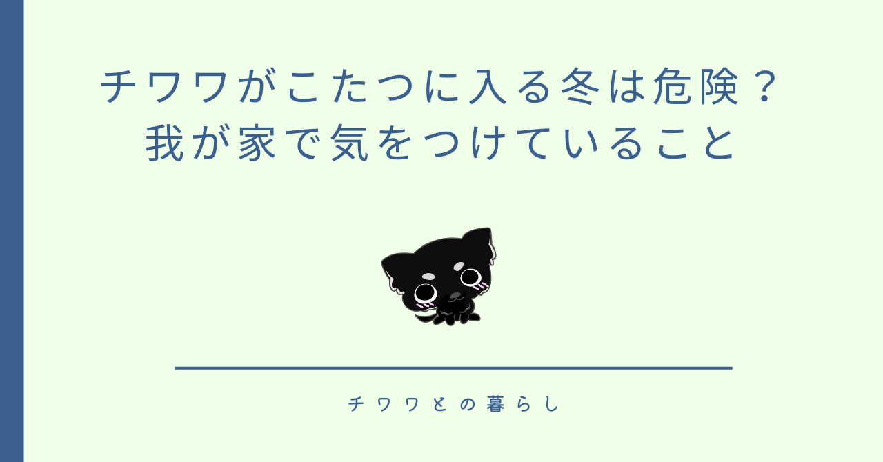 チワワがこたつに入る冬は危険?我が家で気をつけていること