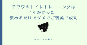 チワワのトイレトレーニングは半年かかった｜褒めるだけでダメでご褒美で成功