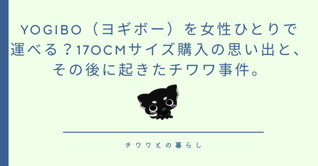 Yogibo(ヨギボー)を女性ひとりで運べる?170cmサイズ購入の思い出と、その後に起きたチワワ事件。