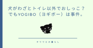 犬がわざとトイレ以外でおしっこ？でもYogibo（ヨギボー）は事件。