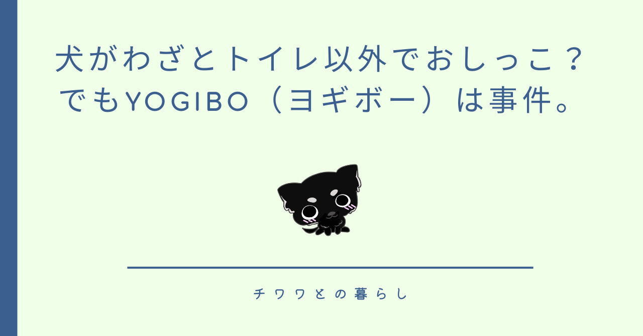 犬がわざとトイレ以外でおしっこ?でもYogibo(ヨギボー)は事件。