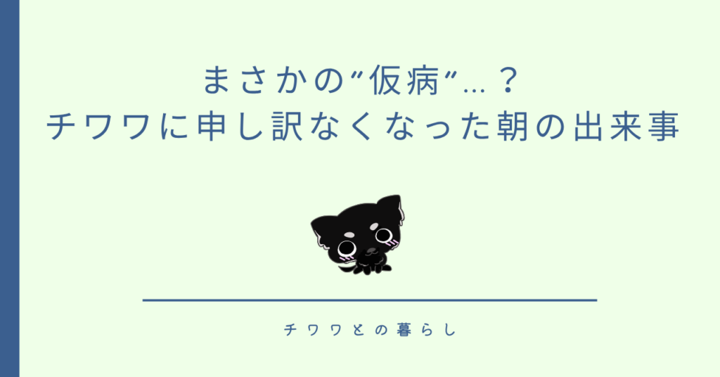 まさかの“仮病”…?チワワに申し訳なくなった朝の出来事