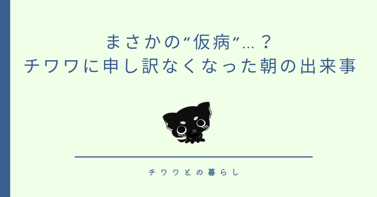 まさかの“仮病”…？チワワに申し訳なくなった朝の出来事