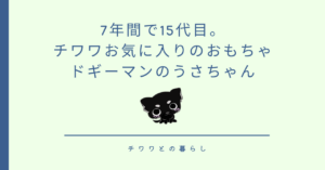 7年間で15代目。チワワお気に入りのおもちゃ｜ドギーマンのうさちゃん