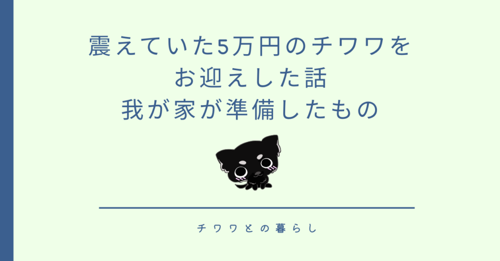 震えていた5万円のチワワをお迎えした話|我が家が準備したもの