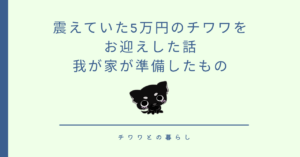 震えていた5万円のチワワをお迎えした話｜我が家が準備したもの