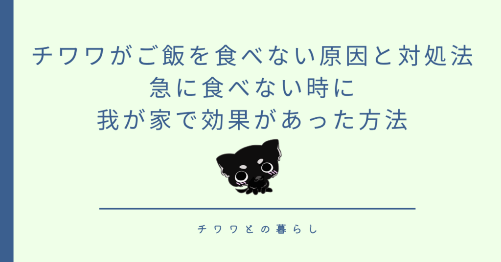 チワワがご飯を食べない原因と対処法|急に食べない時に我が家で効果があった方法