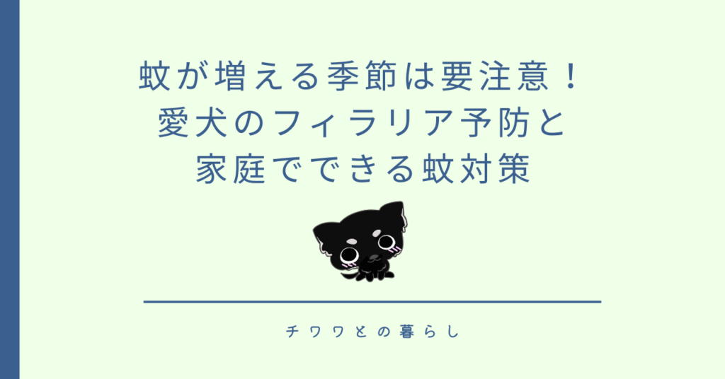 蚊が増える季節は要注意！愛犬のフィラリア予防と家庭でできる蚊対策