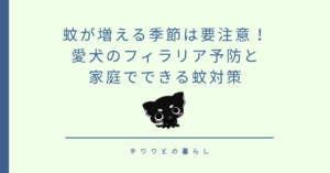 蚊が増える季節は要注意！愛犬のフィラリア予防と家庭でできる蚊対策