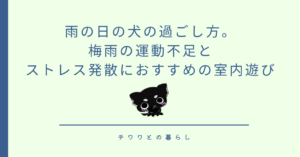 雨の日の犬の過ごし方。梅雨の運動不足とストレス発散におすすめの室内遊び